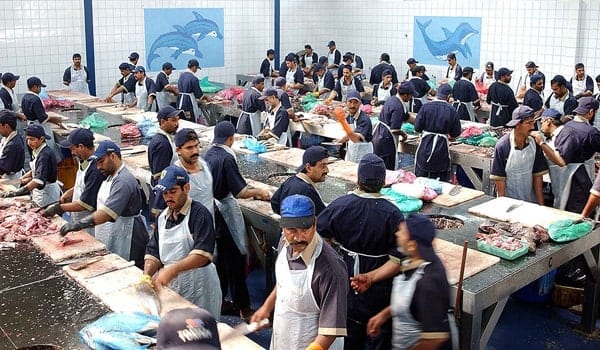 Fish Market Deira 2 min