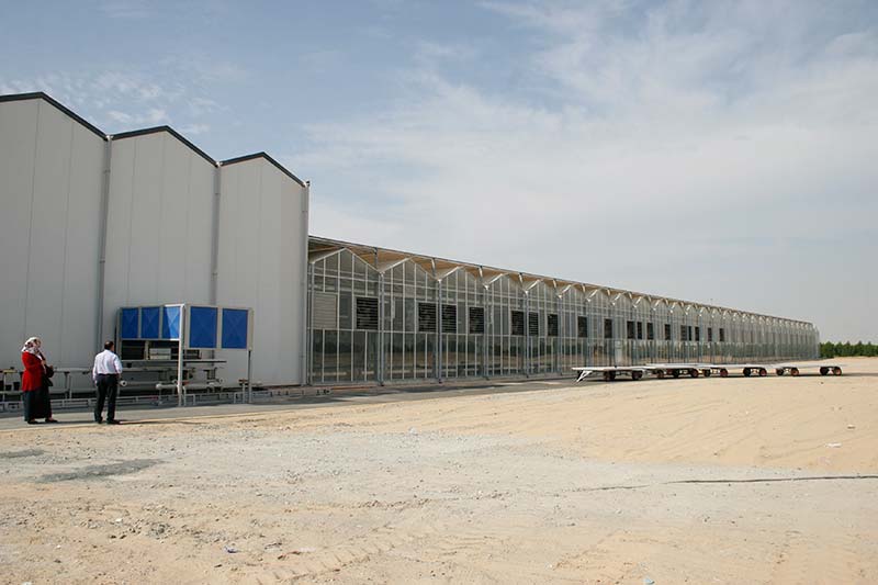 Greenhouses and Shaded Areas 1 min