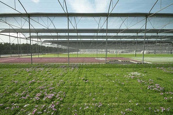 Greenhouses and Shaded Areas 2 min