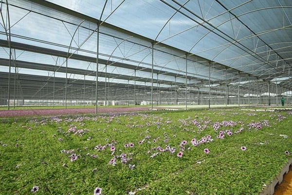 Greenhouses and Shaded Areas 3 min