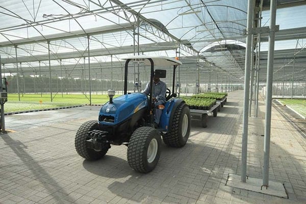 Greenhouses and Shaded Areas 4 min