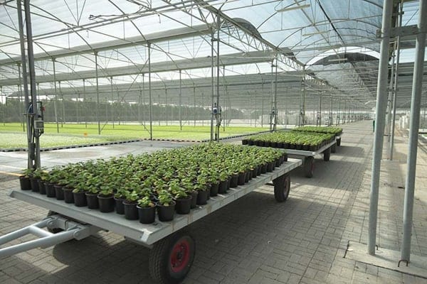 Greenhouses and Shaded Areas 5 min