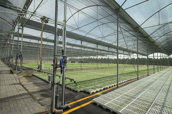 Greenhouses and Shaded Areas 6 min
