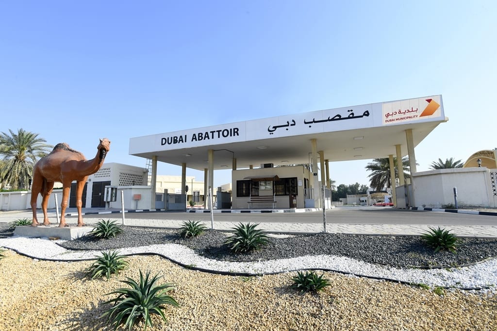 مقصب دبي