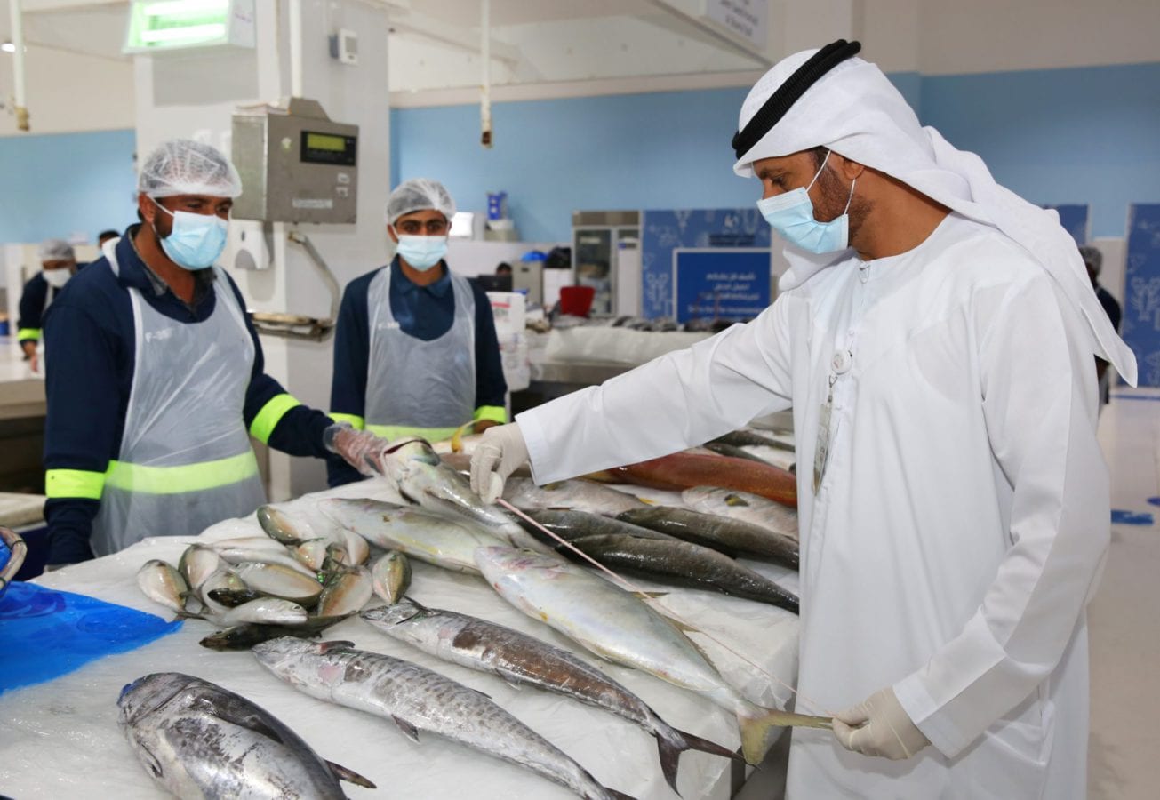 preserve fish wealth - الحفاظ على الثروة السمكية