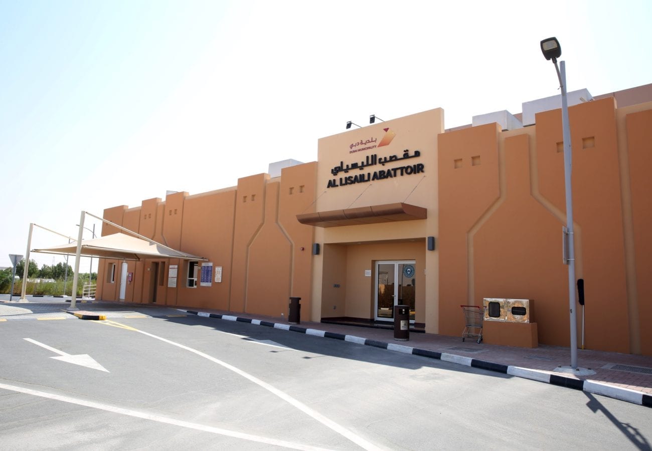 مقصب الليسيلي